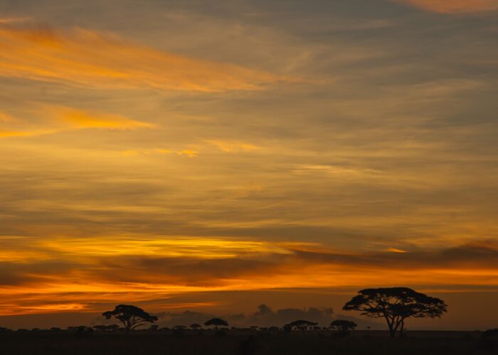 African Sunset
