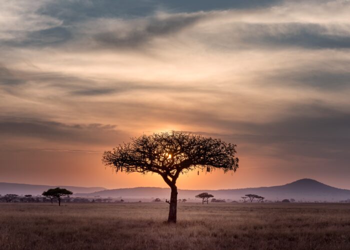 Sunset at Serengeti National Park